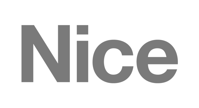 Nice logo